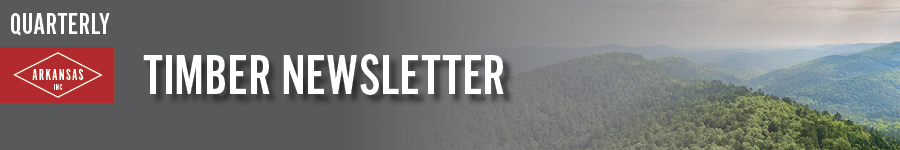 Timber Newsletter